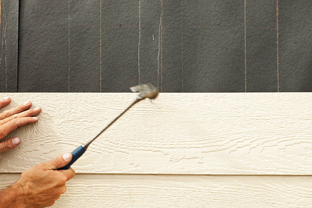 Best Steel Siding Installation  in Willmsburg, IA