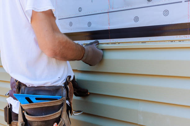 Best Custom Trim and Detailing for Siding  in Willmsburg, IA